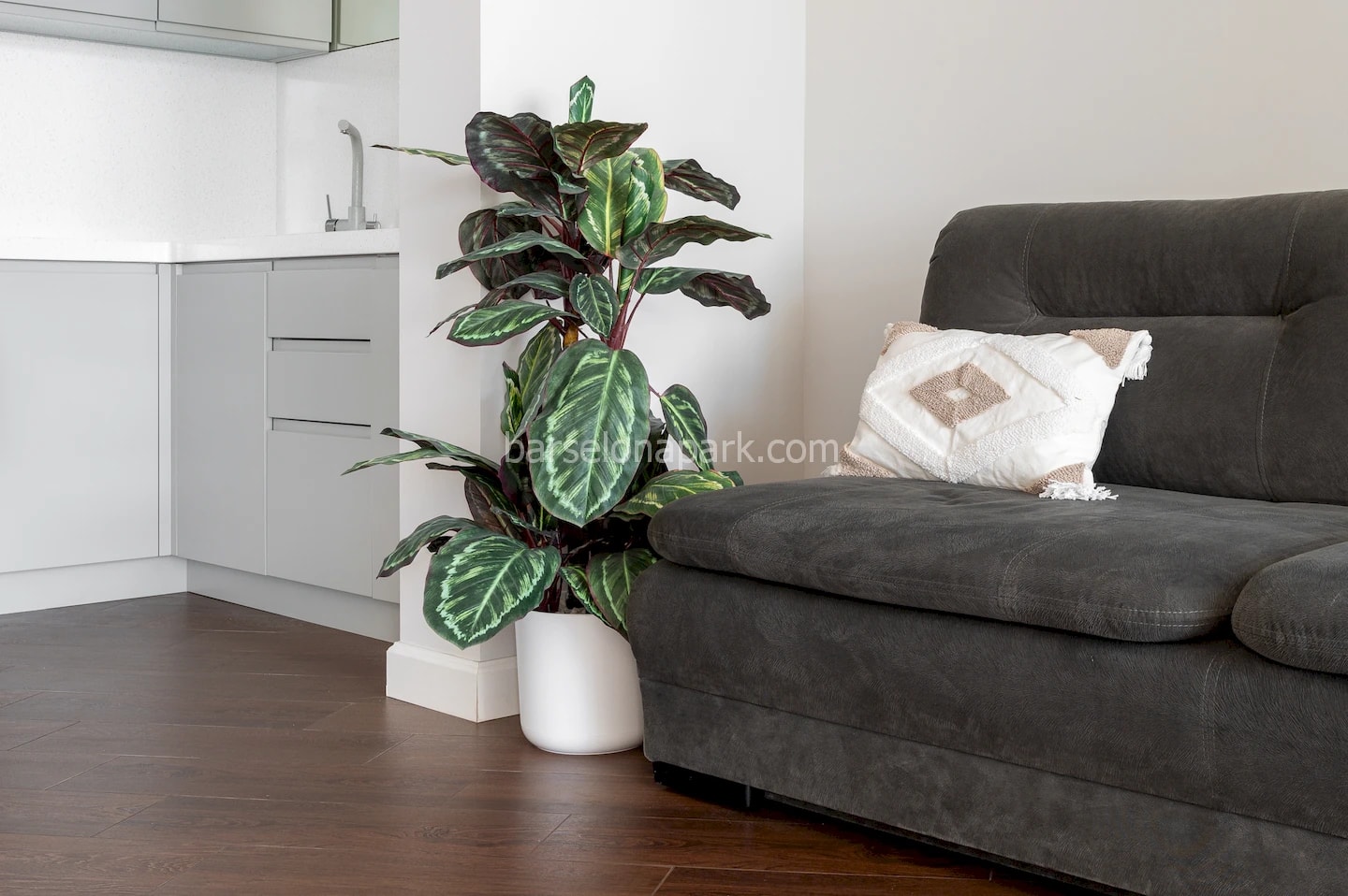 Апартаменты 15